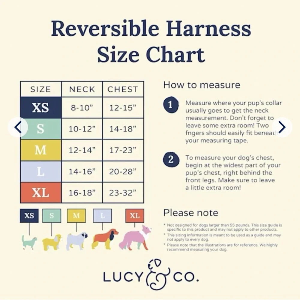 Lucy & Co. Reversible Dog Harnesses – Size Medium (Set of 2) - Picture 5 of 5